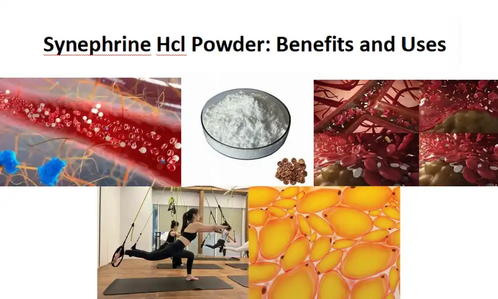 Synephrine Hcl Powder: Benefits and Uses